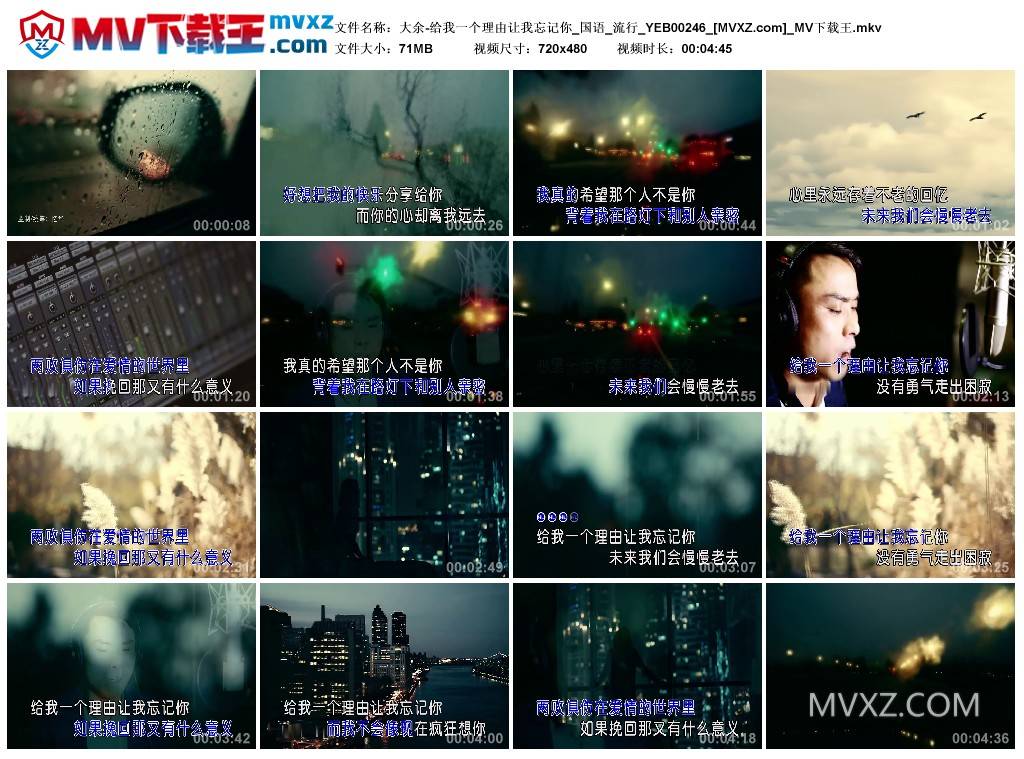 大余-给我一个理由让我忘记你_国语_流行_YEB00246